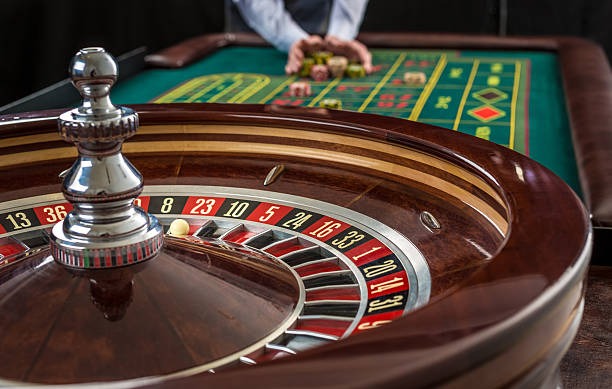 Wild Coaster live-dealer table interface on gayabola platform